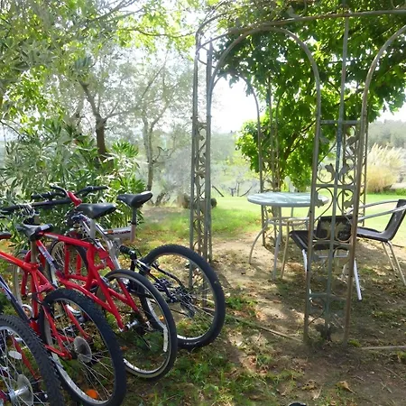 Esclusivo Di Villa Vinci